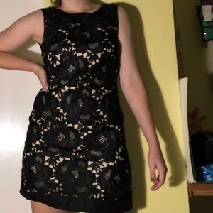 white houseblack market flower lace cocktail dress